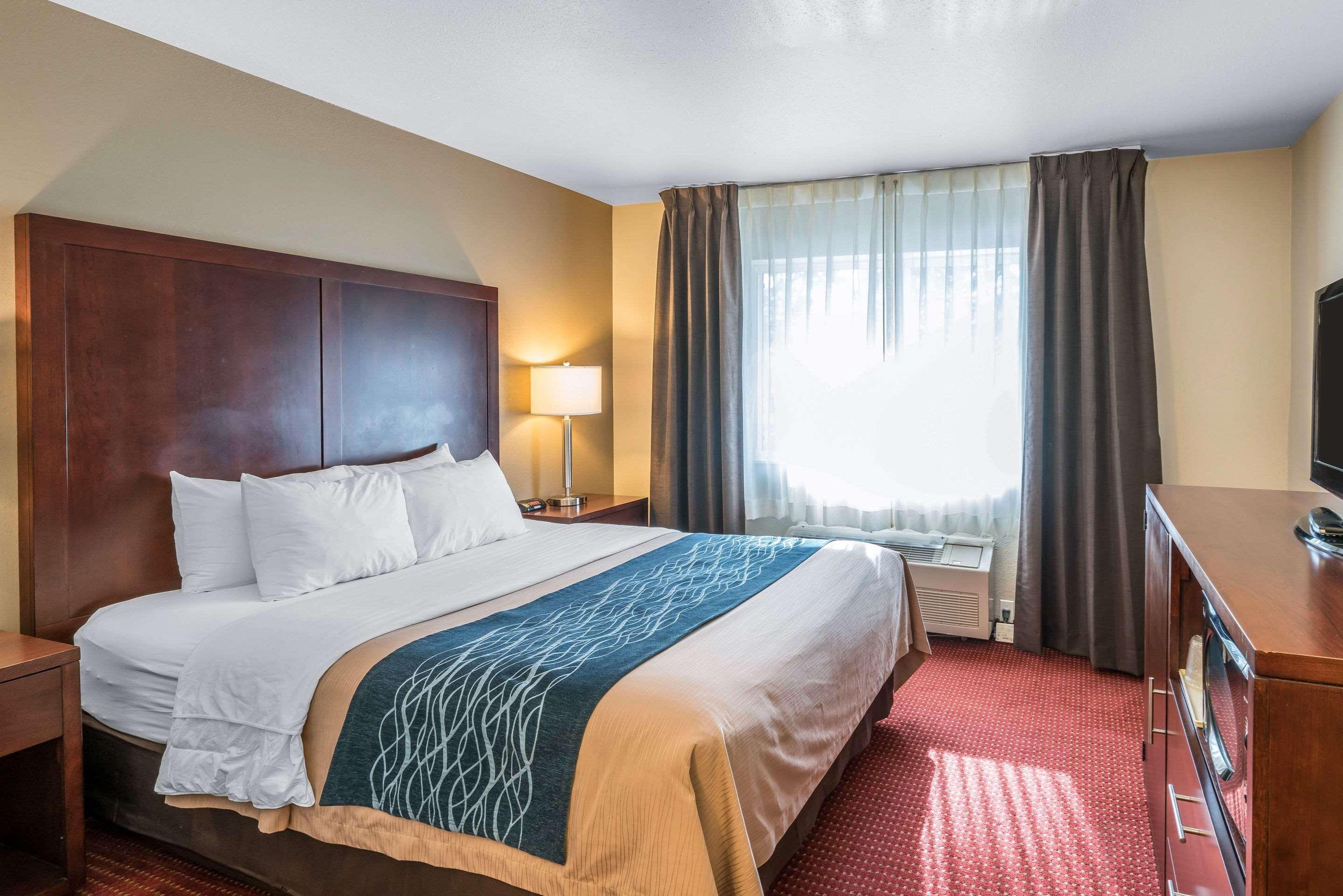Comfort - Olympia 3* Lacey