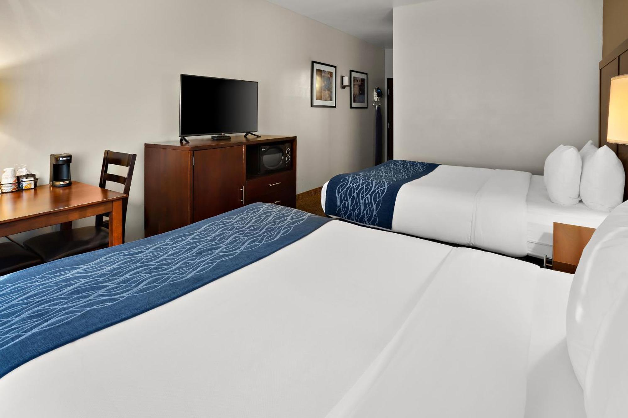 Inn Comfort - Olympia Lacey