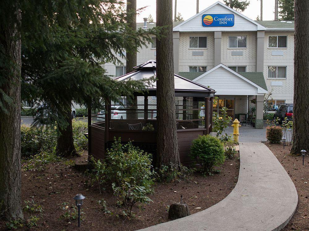 Comfort - Olympia Inn