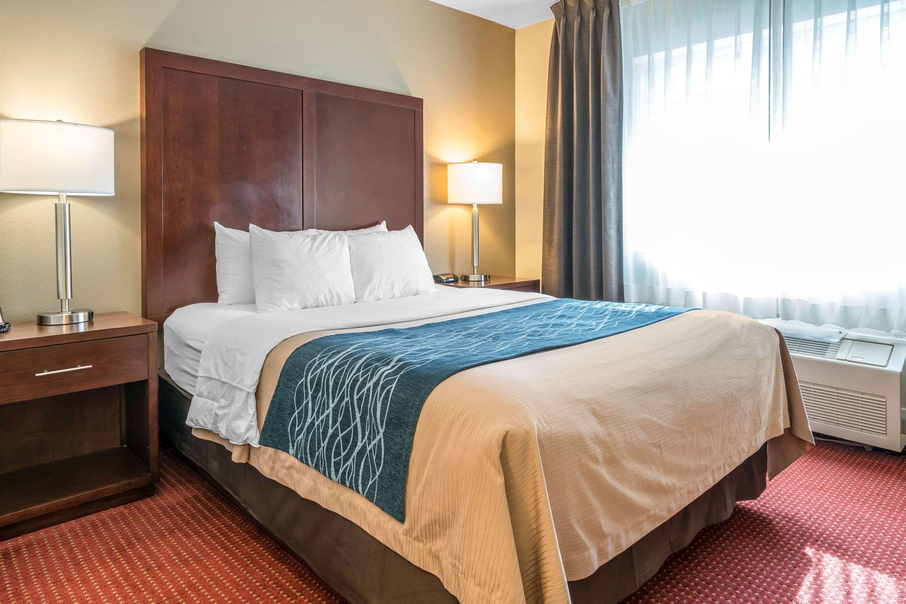 Inn Comfort - Olympia