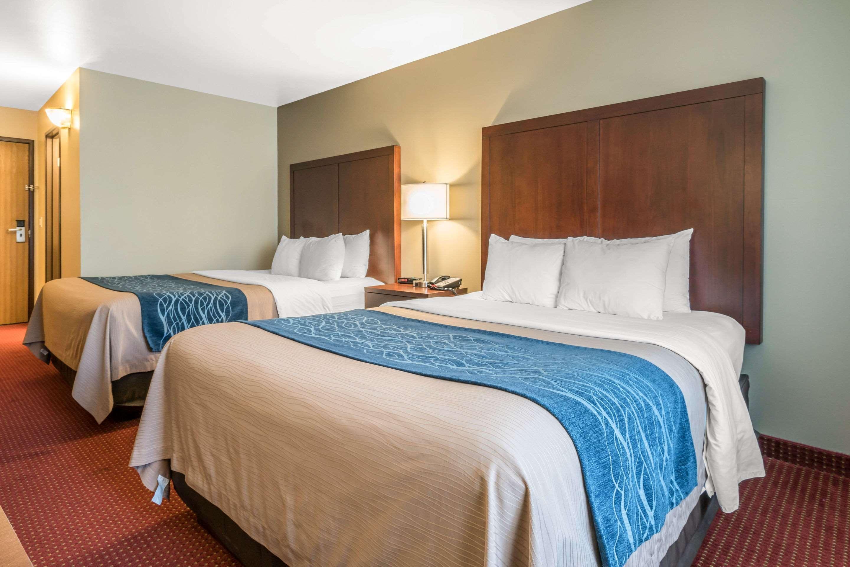 Comfort - Olympia 3* Lacey