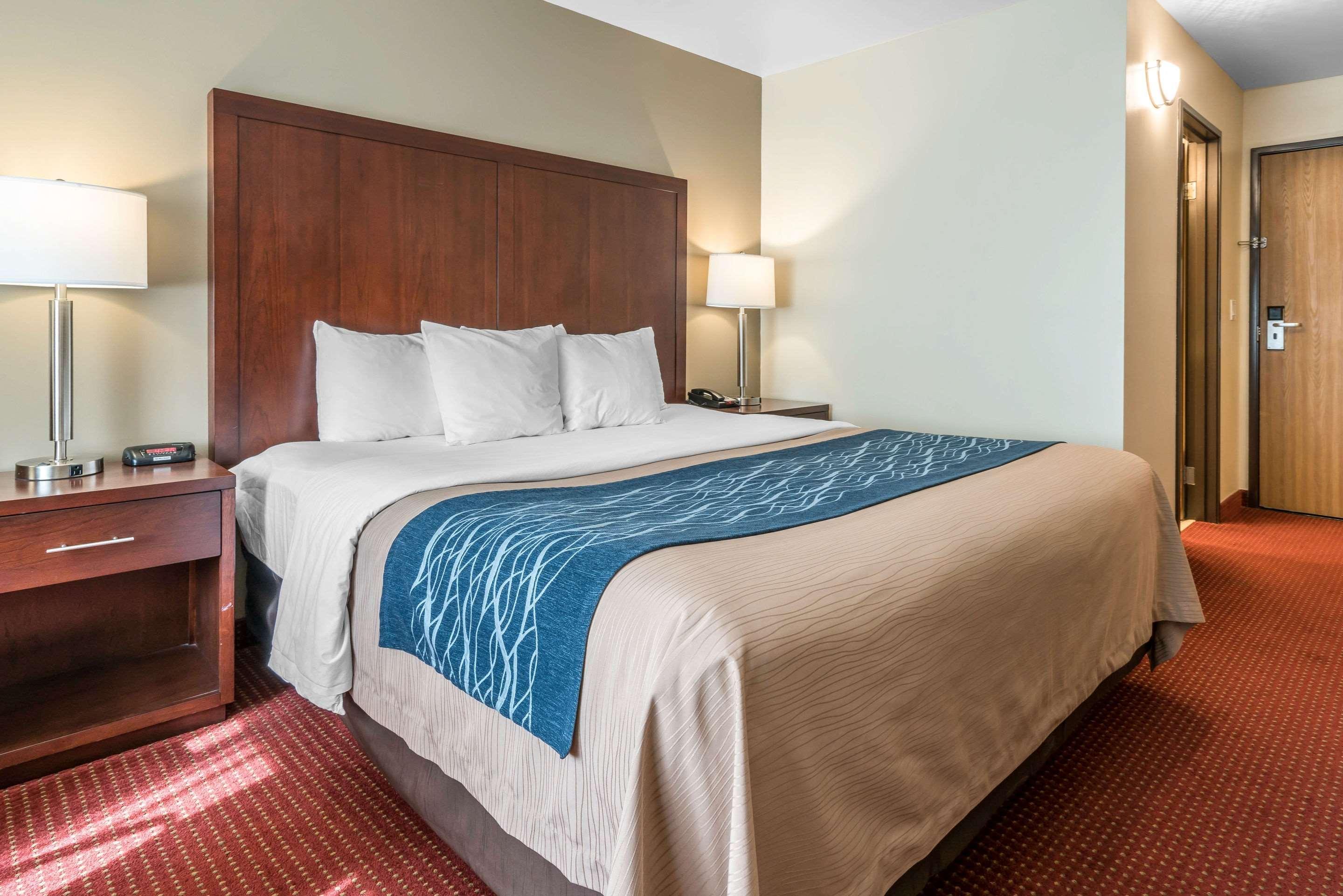 Comfort - Olympia Inn Lacey