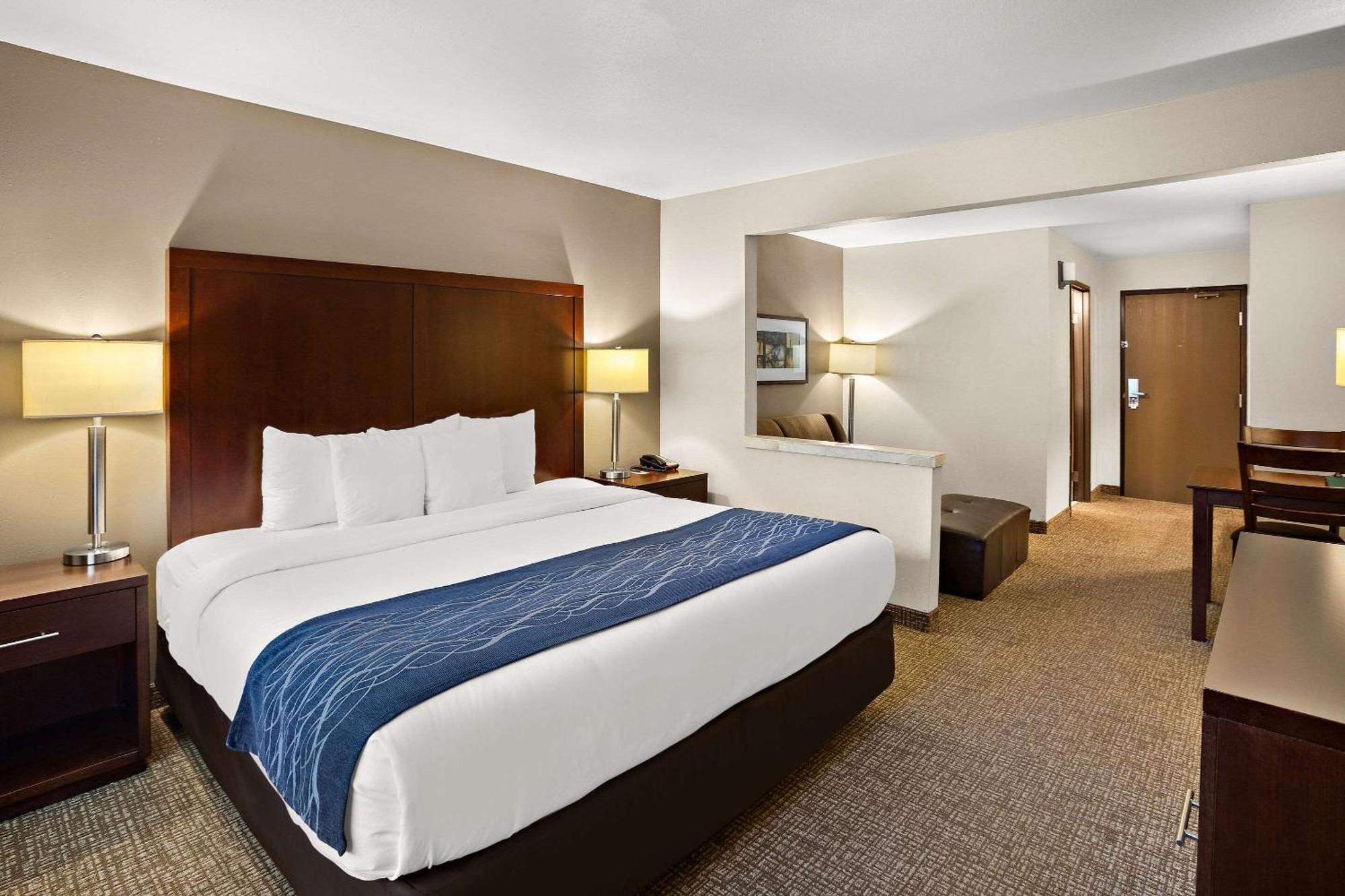 Comfort - Olympia 3* Lacey