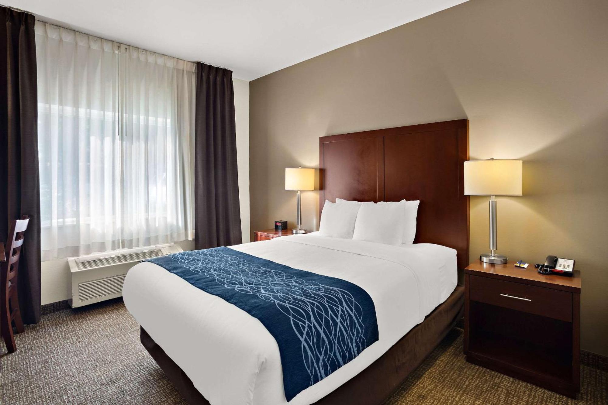 Comfort - Olympia Inn 3*