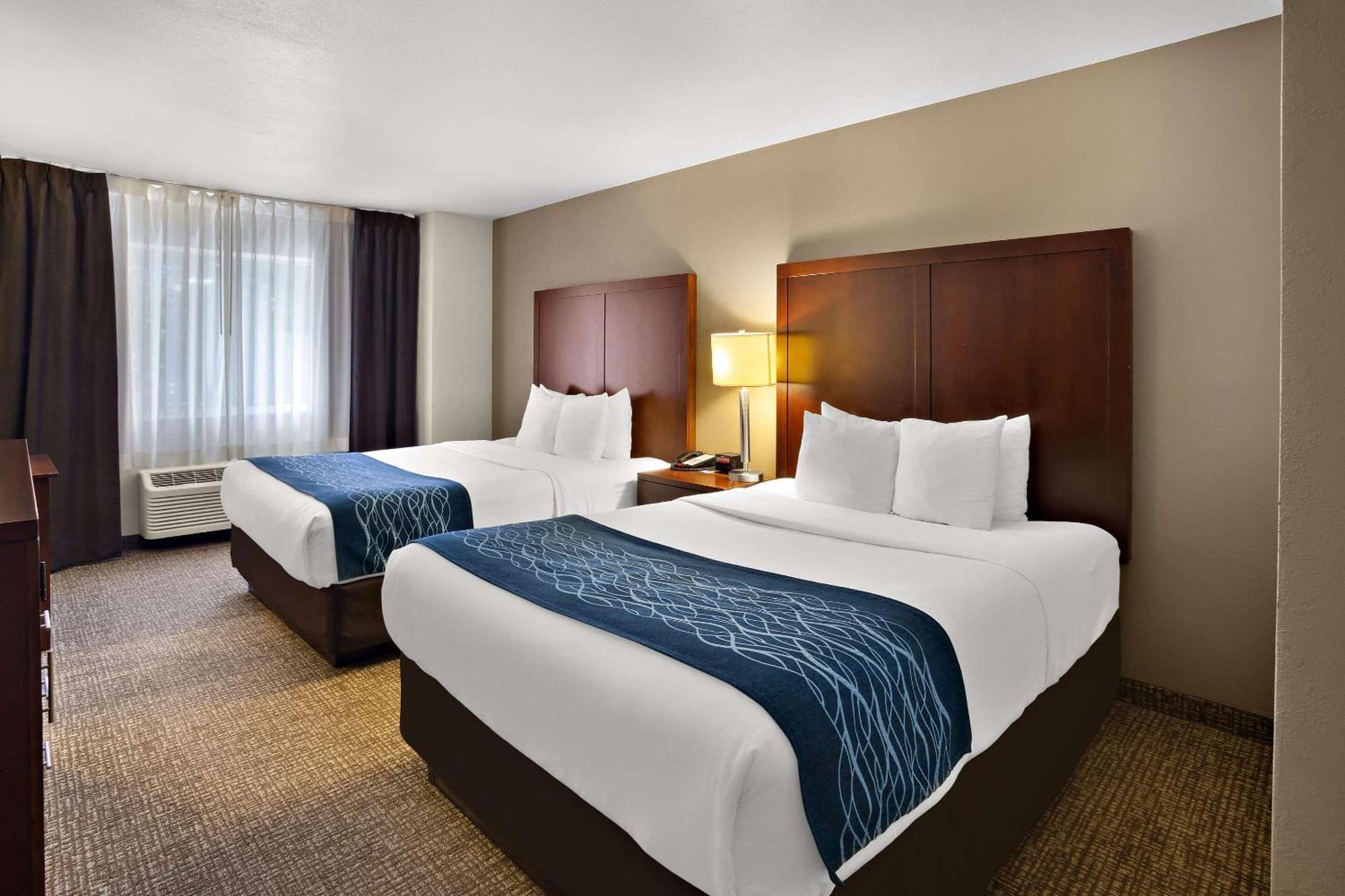 Comfort - Olympia Inn