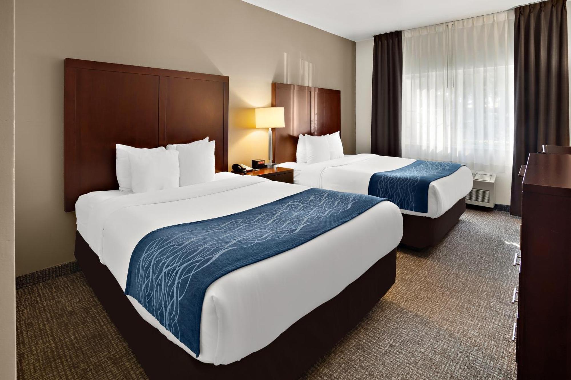 Comfort - Olympia Inn Lacey