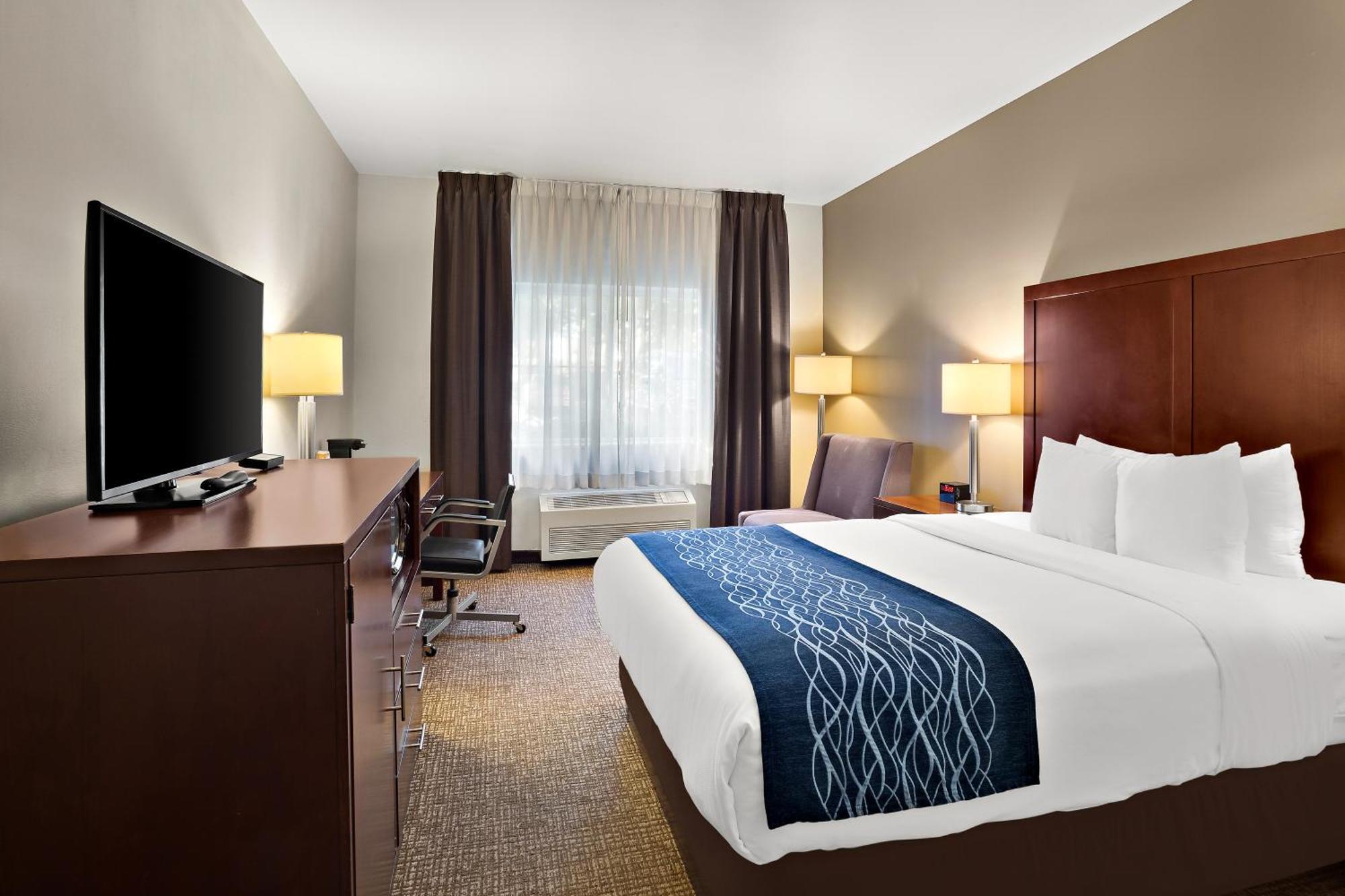 Comfort - Olympia 3* Lacey