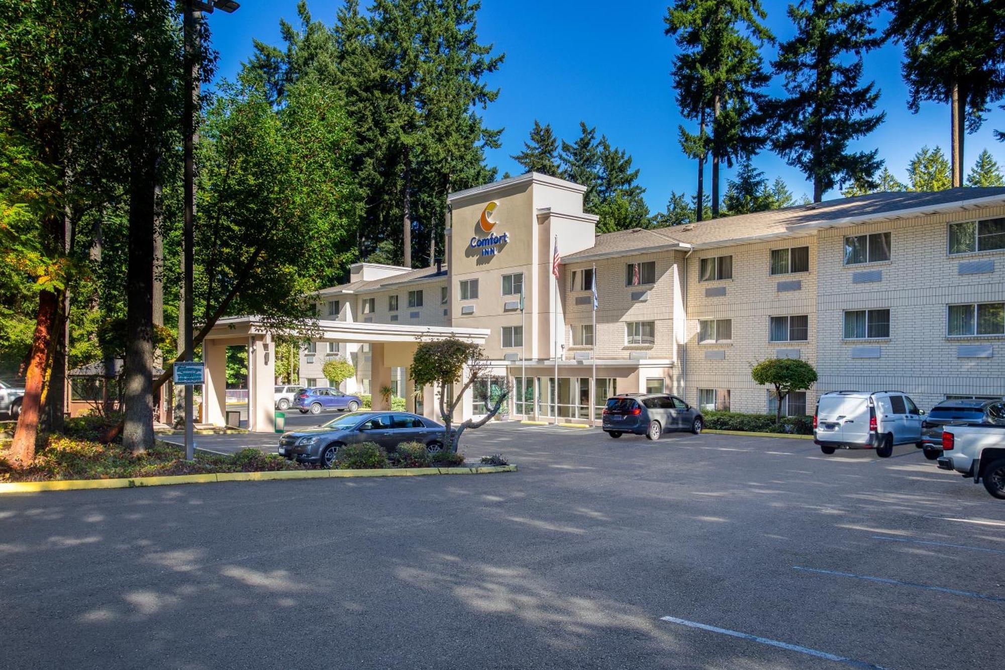 Inn Comfort - Olympia Lacey