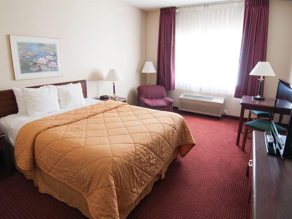 Inn Comfort - Olympia Lacey