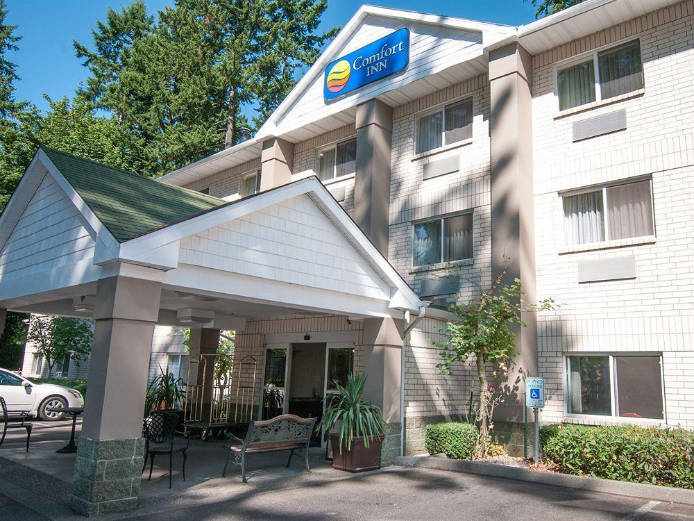 Comfort - Olympia Inn